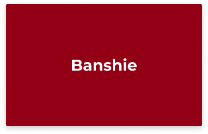 Vores samarbejdspartner Banshie