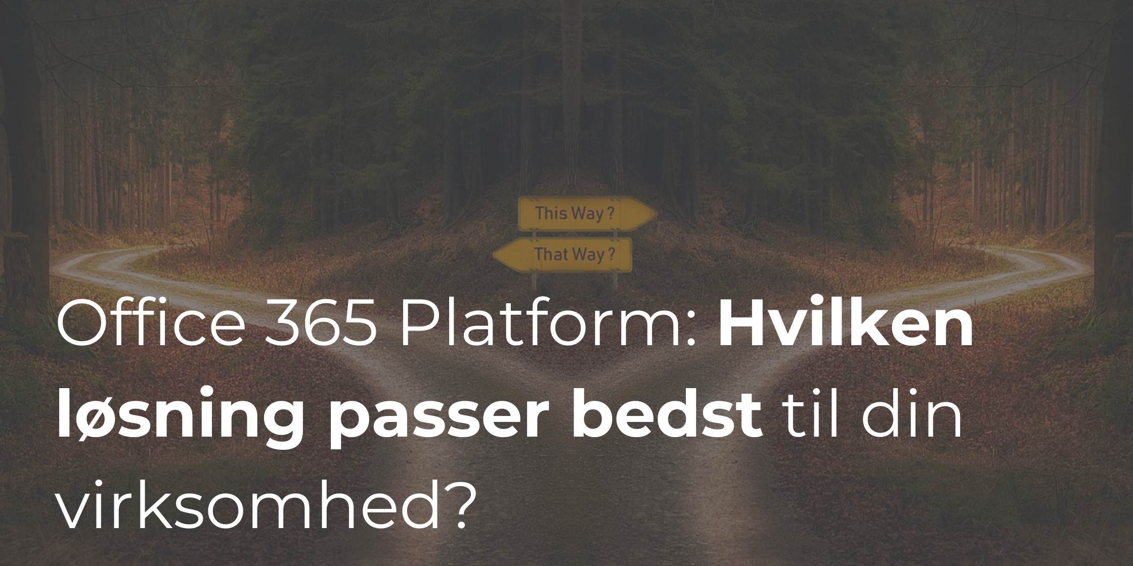 Office 365 Platform: Hvilken løsning passer bedst til din virksomhed?
