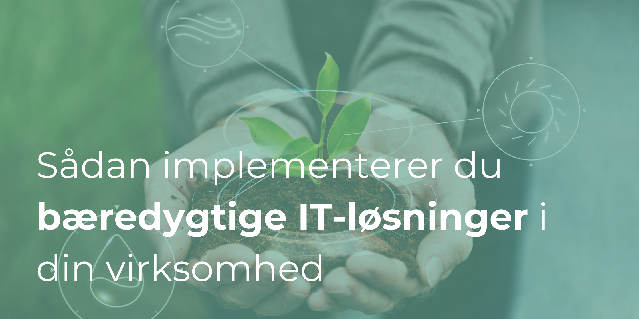 Sådan implementerer du bæredygtige IT-løsninger i din virksomhed