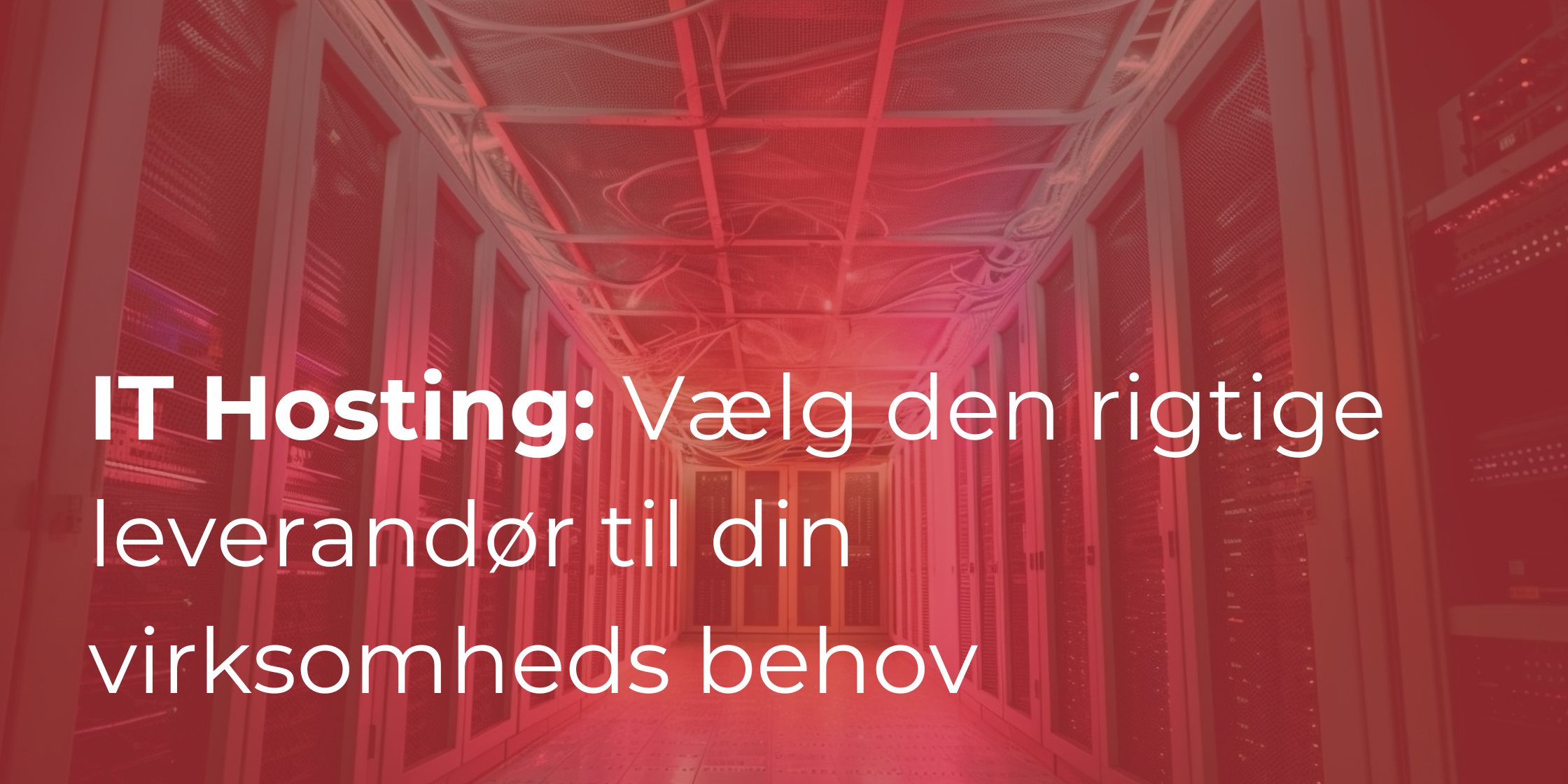 IT Hosting: Vælg den rigtige leverandør til din virksomheds behov