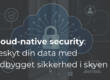 Cloud-native security: Beskyt din virksomheds data med indbygget sikkerhed i skyen