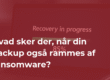 Hvad sker der, når din backup også rammes af ransomware?